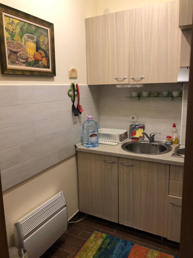 Suncani Apartman Brzeće Εξωτερικό φωτογραφία